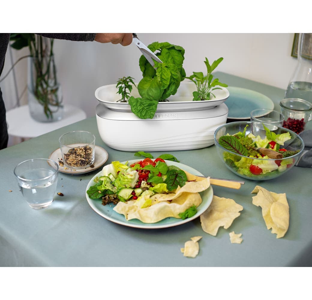 White Bosch SmartGrow Life MSGP3L.5