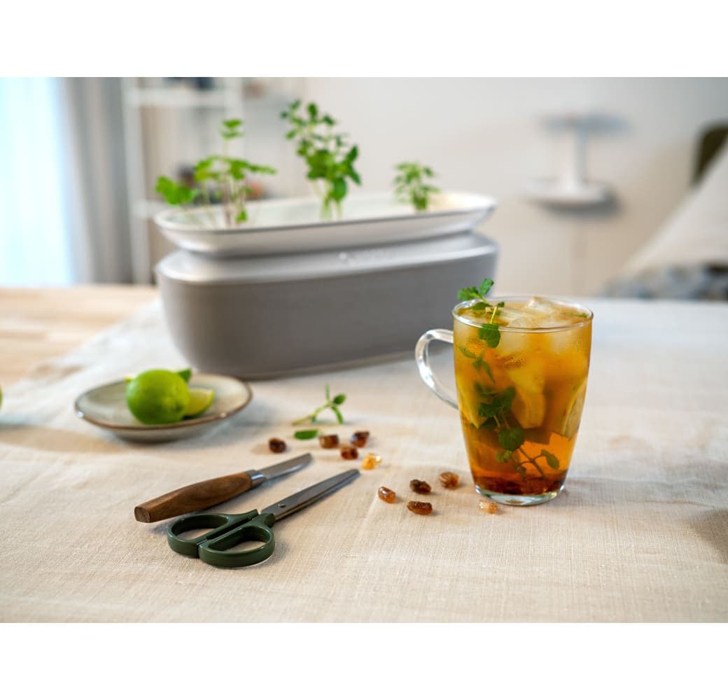 White Bosch SmartGrow Life MSGP3L.6