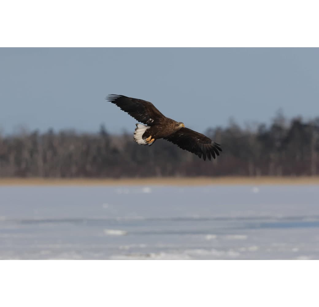 Schwarz Canon EOS R7 Systemkamera, mit Objektiv RF-S 18-150mm f/3.5-6.3 IS STM.5