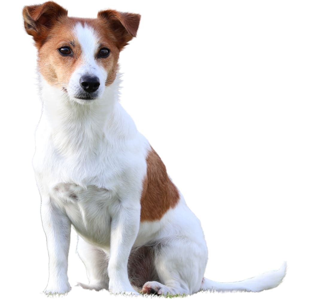 Black Canon RF-S 55-210mm f/5-7.1 IS STM.3