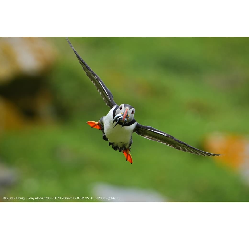 Sony Alpha 6700 Mirrorless Camera Body.4