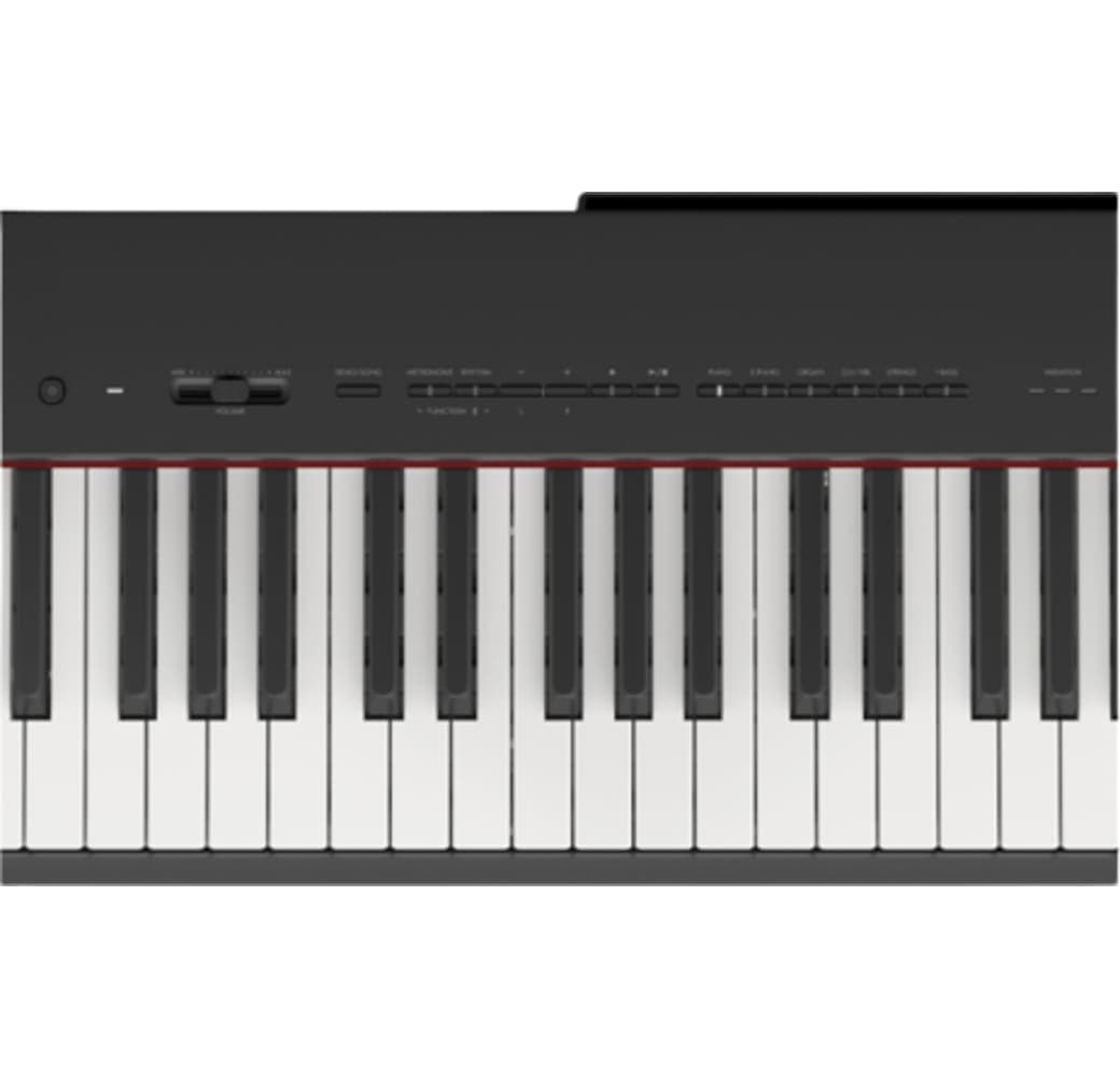 Black Yamaha P-225 88-Key Digital Piano.3