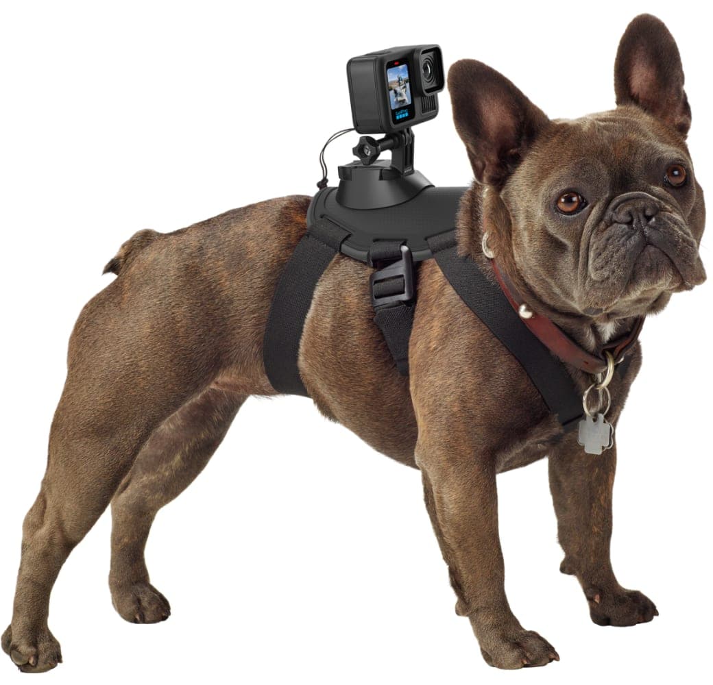 Black GoPro HERO 13 Black.9