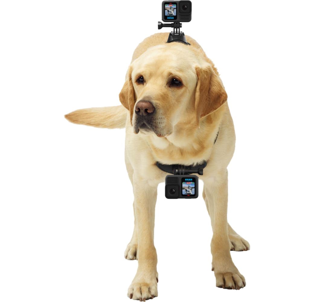 Black GoPro HERO 13 Black Creator Edition.4