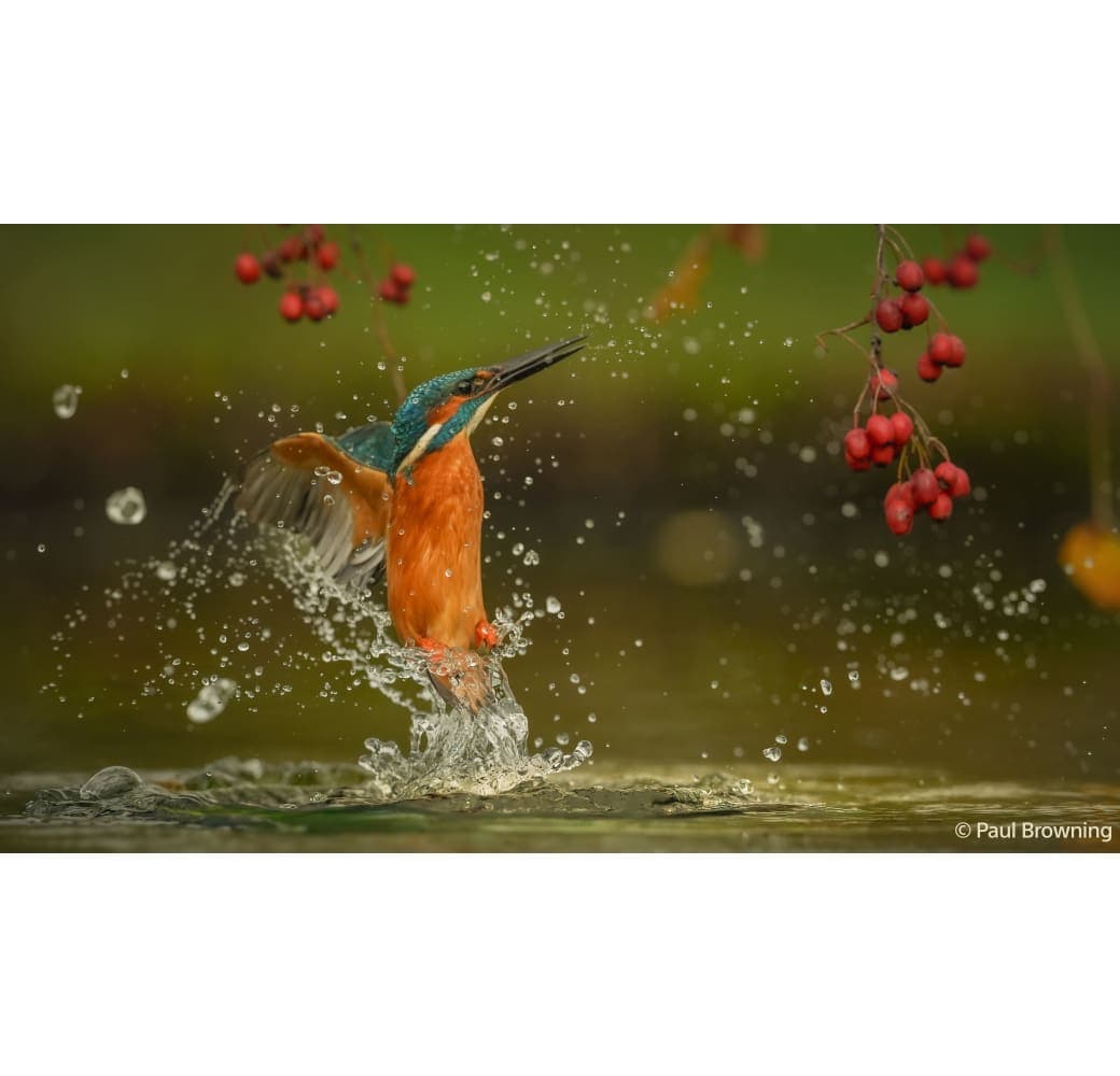 Black Sony Alpha 7 Mark V - Full Frame Camera body (ILCE7M5B).11